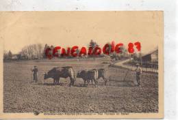 87 - ORADOUR SUR VAYRES -  NOS PAYSANS AU TRAVAIL - LABOURS - Oradour Sur Vayres