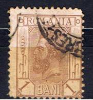 RO Rumänien 1893 Mi 99 Herrscherporträt - Used Stamps