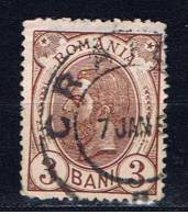 RO Rumänien 1893 Mi 101 Herrscherporträt - Used Stamps