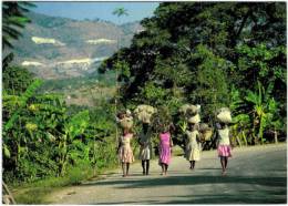 Amérique - Haiti - Kenscoff : On The Way To The Friday Market - Haïti