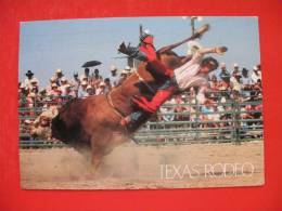 TEXAS RODEO - Other & Unclassified