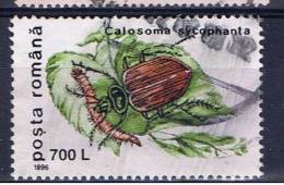 RO+ Rumänien 1996 Mi 5191 Käfer - Used Stamps