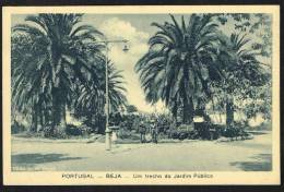 BEJA (Portugal) - Um Trecho Do Jardim Publico - Beja