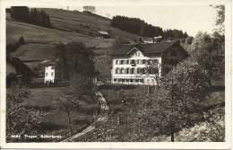 Trogen Schurtanne - Trogen