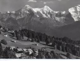 CP  - BAETENBERG - WALDEGG - FINSTERAARHORN - ELGER - MONCH - JUNGFRAU - 452 - GYGER - Wald