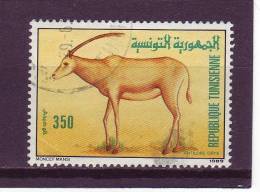 Tunisie YV 1132 O 1989 Oryx - Gibier