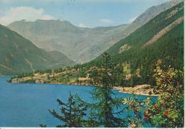 TORINO--CERESOLE REALE--IL LAGO--FG--V 16-8-86 - Other Monuments & Buildings