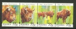 POLAND 1996  MICHEL NO 3629-3632  MNH - Unused Stamps