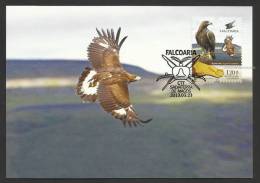 Portugal Aigle Royal Aquila Chrysaetos Carte Maximum Fauconnerie 2013 Golden Eagle Maxicard Falconry - Maximum Cards & Covers