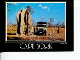 (648) Australia - QLD - Cape York Giant Termite Hill - Mount And 4 Wheel Car - Outback