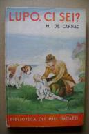 PBQ/28 De Carnac LUPO, CI SEI? Biblioteca Dei Miei Ragazzi Salani 1936/illustrazioni Di Faorzi - Anciens