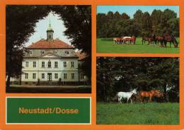 Neustadt / Dosse. Hauptgestüt - Neustadt (Dosse)