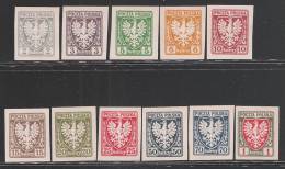 POLONIA - 1919 - 11 VALORI NUOVI ND SENZA GOMMA - EMISSIONE DI CRACOVIA - IN OTTIME CONDIZIONI. - Unused Stamps