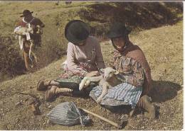 Delcampe - Beja - Évora - Portalegre - Costumes Do Alentejo - Beja