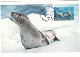 Léopard De Mer Phoque Leopard Seal Seeleopard Hydrurga Leptonyx - Altri