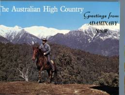 (695) Australia - NSW - Adamary - Hight Country - Horseman - Outback