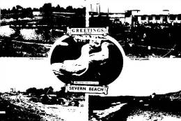 (111) Very Old Postcard - Carte Postale Ancienne - UK - Severn Beach + Seagull - Andere & Zonder Classificatie