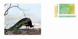 BIRDS Pre-paid Envelope 28 - Colecciones & Series