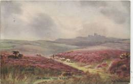 WHITBY - THE MOORS By W GIBSON - Whitby
