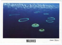 MALDIVES-MALE ATOLL (PHOTO MICHAEL FRIEDEL No.23/103) / THEMATIC STAMP-FLOWERS - Maldivas