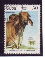 Cuba YV 2573 O 1984 Boeuf - Vaches