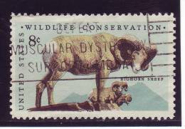 Etats Unis YV 966 O 1972 Mouflon - Animalez De Caza