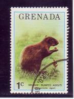 Grenada YV 648 O 1976 Agouti - Rongeurs