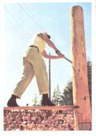 Delcampe - Chocolat Jacques-Chromos-Sports Insolites-Concours De Bûcherons (Bucheron) - N°40 - Jacques