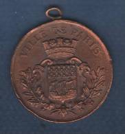 MEDAILLE VILLE DE PARIS / CONCOURS DES BEBES 1888 - MEDAILLE DE 1re CLASSE - PAUL CHENOT - Professionnels / De Société