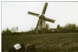 RENSWOUDE (Utrecht) - Molen/moulin - Oude Opname ±1900 Van De Verdwenen Standerdmolen ("Aldermeulen") In Bedrijf - Other & Unclassified