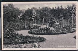 Sangerhausen - Rosarium - Sangerhausen