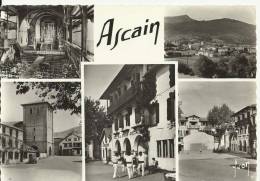 Ascain Multivue - Ascain