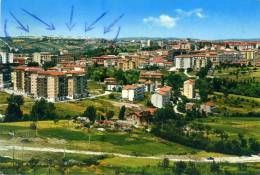 CAMPOBASSO. Panorama. Vg. C/fr. Per GORIZIA . - Campobasso