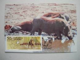 Südafrika 949 Maximumkarte MK/MC Nr. 129, Warzenschwein - Storia Postale