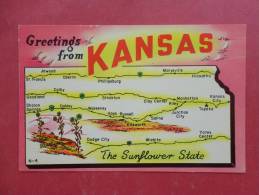 Greetings From  Kansas  The Flower State  Not Mailed   ==   =ref 905 - Andere & Zonder Classificatie