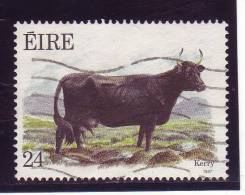 Irlande 628 O 1987 Vache - Vaches