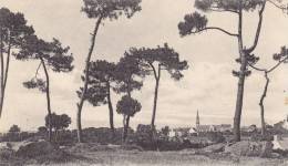 CPA  39  -TREGUNC - Panorama - Trégunc