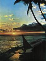 (105) Fiji Beach Sunset With Palm Trees - Fidji