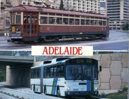 (150) Australia - SA - Adelaide Buses And Tramway - Adelaide