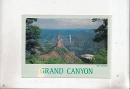 BT7185 Grand Canyon Arizona     2 Scans - Grand Canyon