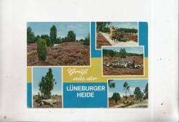 BT7227  Luneburger Heide    2 Scans - Lüneburg