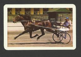 Hungary, Trotting Race, 1980. - Petit Format : 1971-80