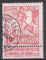 Belgie OCB 87 (0) - 1910-1911 Caritas