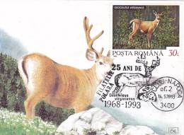 DEER, 1993, CM. MAXI CARD, CARTES MAXIMUM, ROMANIA. - Animalez De Caza