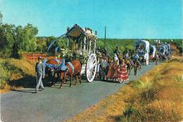 ANDALUCIA - Romeria Del Rocio / Rocio Typical Procession / Procession Typique Du Rocio, 3 Petites Filles à Robes Longues - Huelva