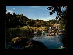 44 - BOUSSAY - La Passerelle De Chevalier Et La Chaussée Sur La Sèvre Nantaise - Boussay