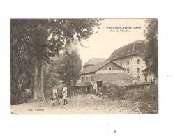 PONT DE CHERUY - Vue Du Moulin - - Pont-de-Chéruy