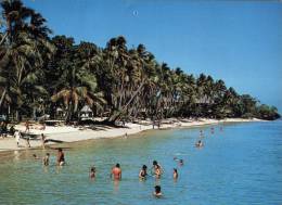 (309)  Fijean Beach - Fidji