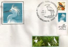 USA.Aigrette Blanche  Oblitération Illustrée Sur Enveloppe Souvenir. Floride - Cicogne & Ciconiformi