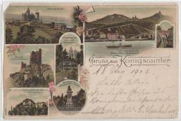 Germany - Konigswinter - Dampfer - Denkmal - Litho 1902 - Koenigswinter